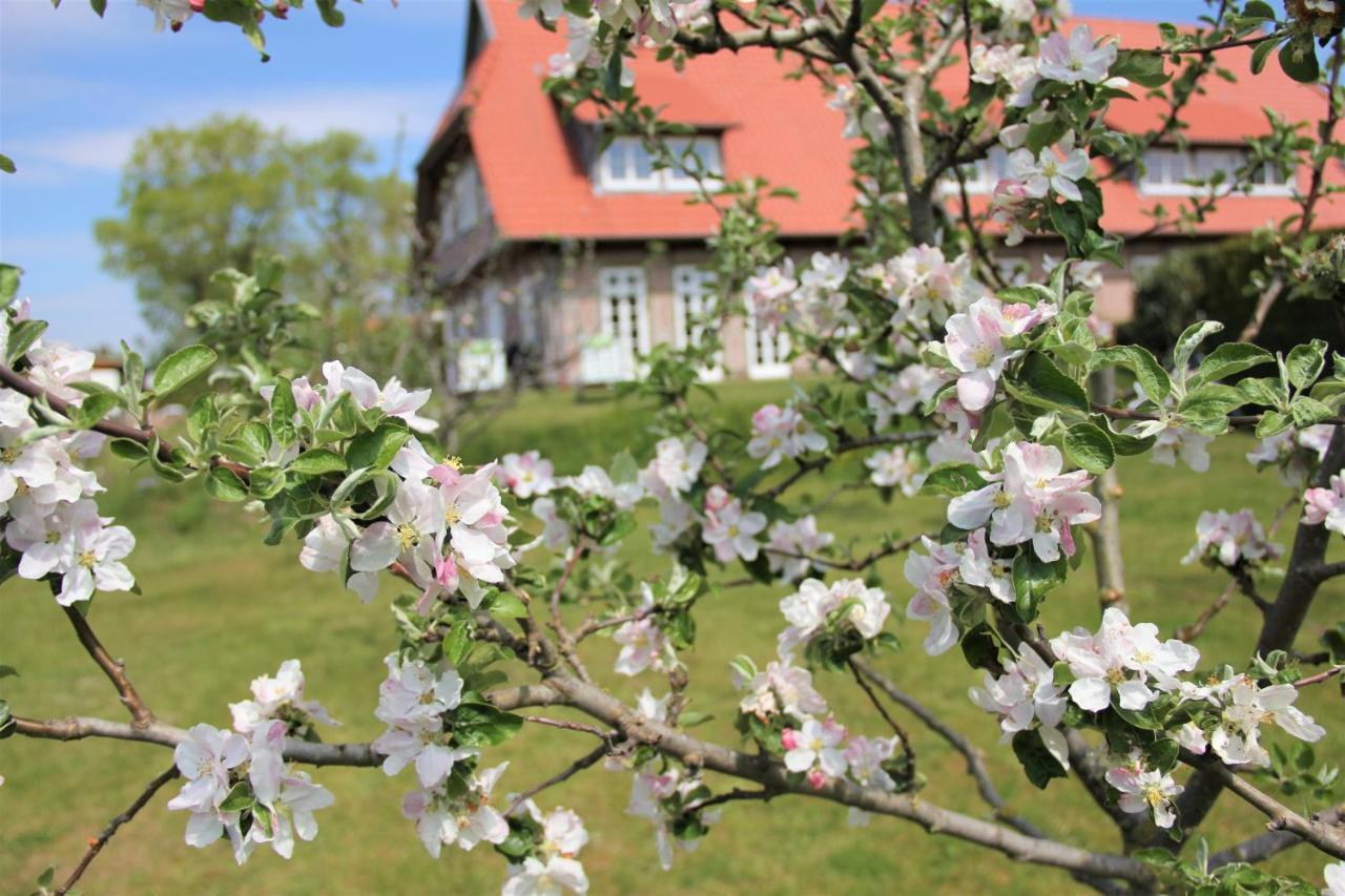 Landhaus Fuenfseen Esterno foto